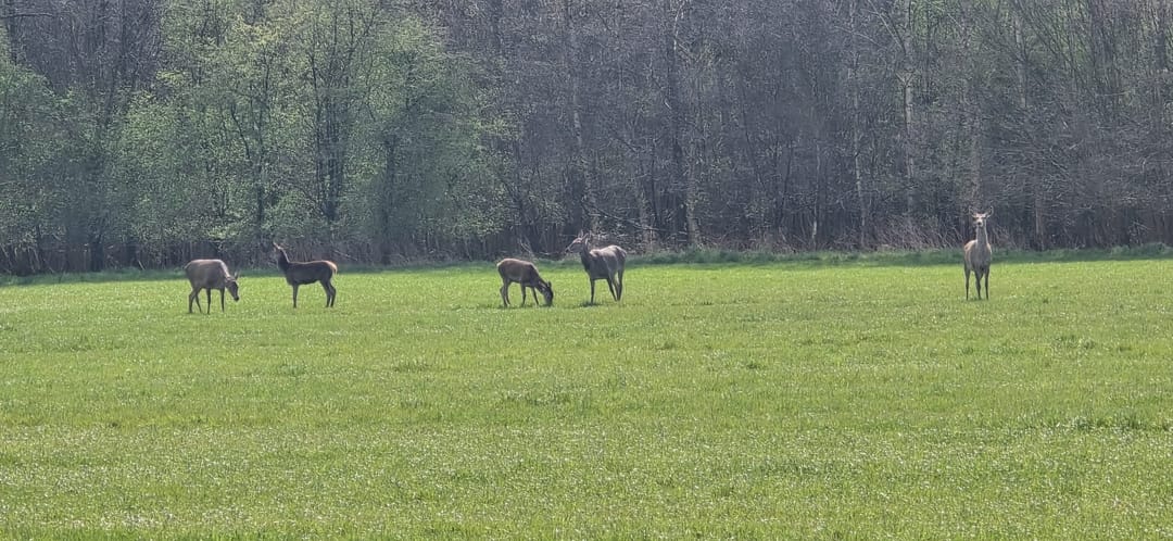 Foto 67 van Hoevesteeg 44