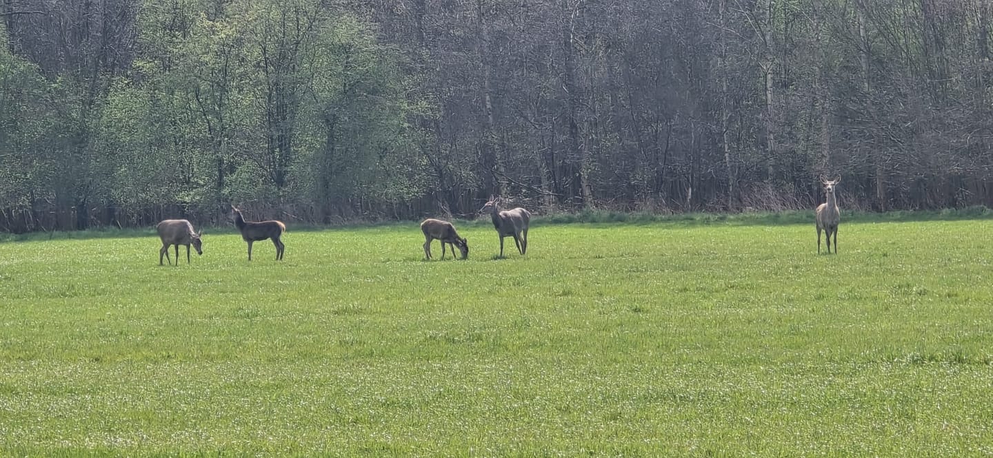 Photo 64 of Hoevesteeg 44