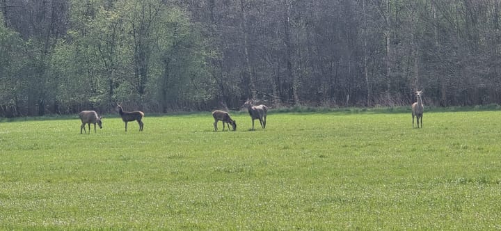 Photo 67 of Hoevesteeg 44