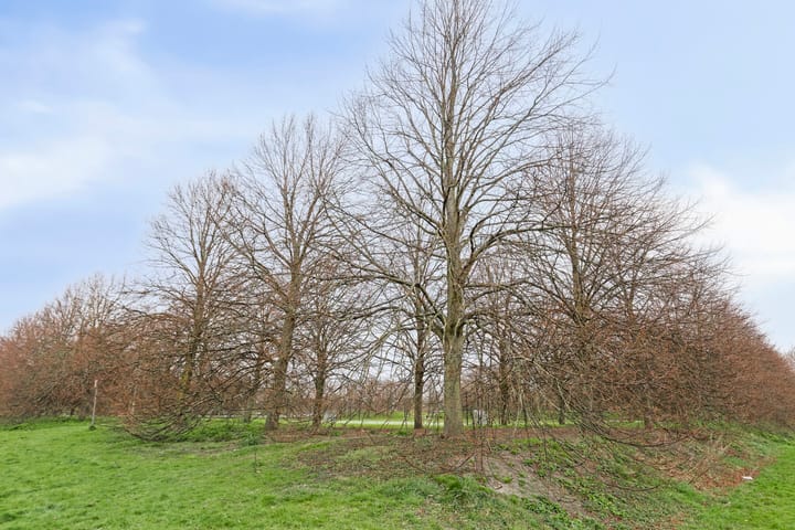 Foto 35 van Hannie Schaftstraat 98