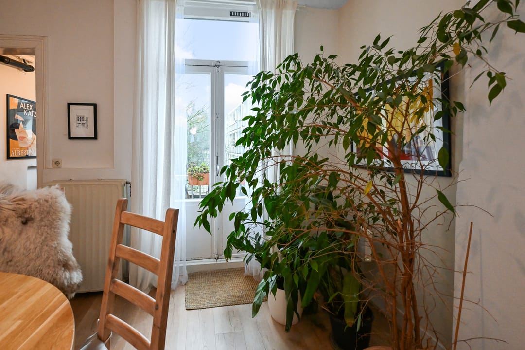 Foto 8 van Potgieterstraat 65-2