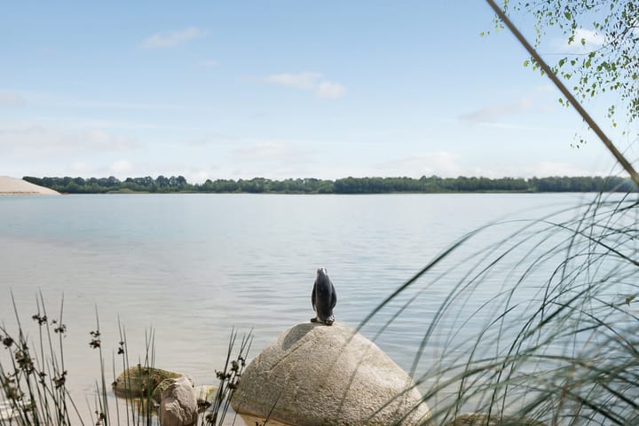 Photo 38 of Verlengde Broekdijk 21