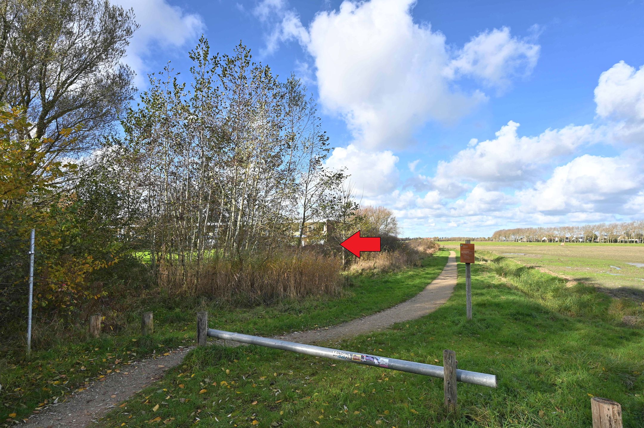 Photo 3 of Burgemeester van Woelderenlaan 100-7