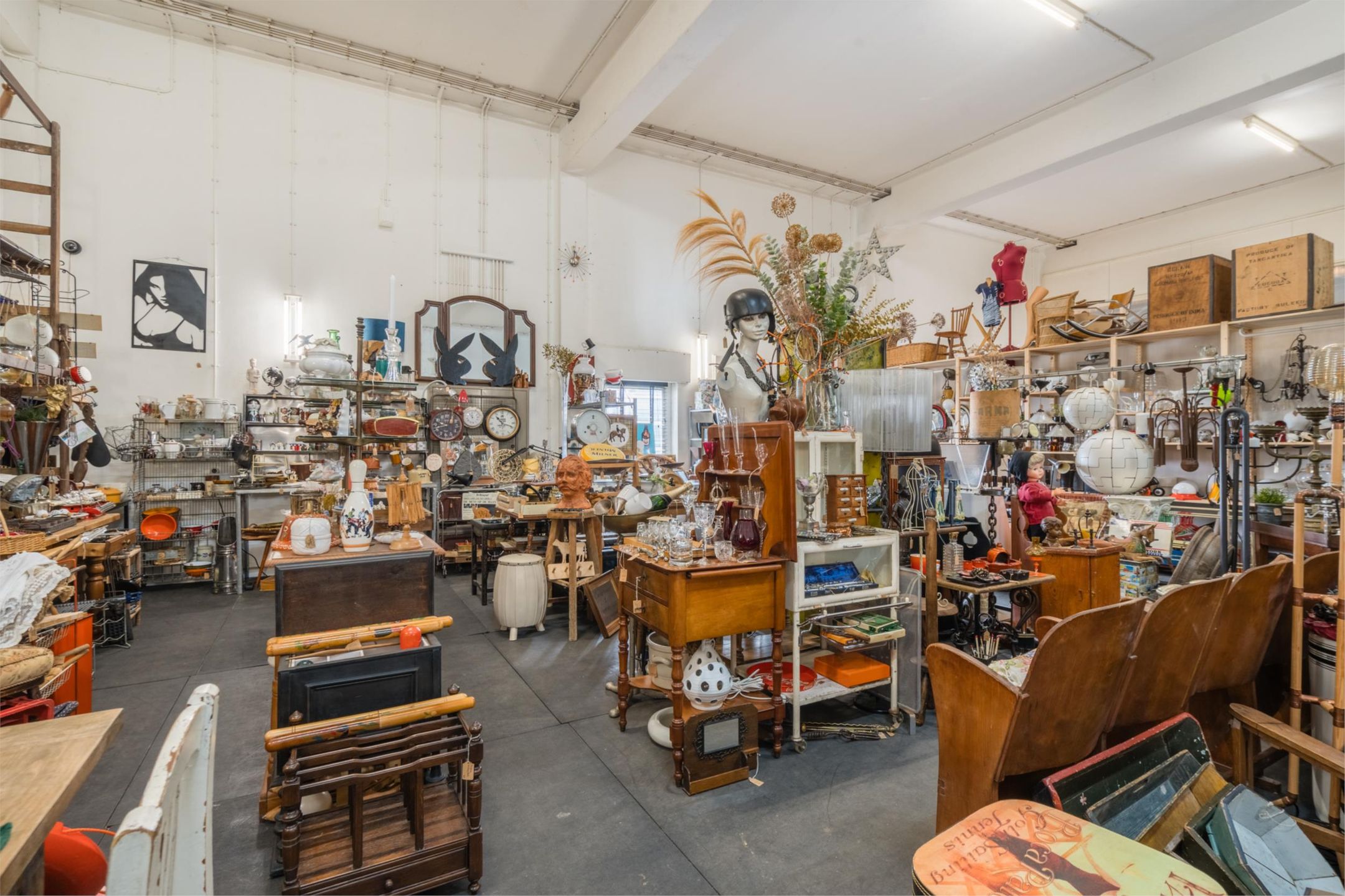 Photo 12 of De Rik 7