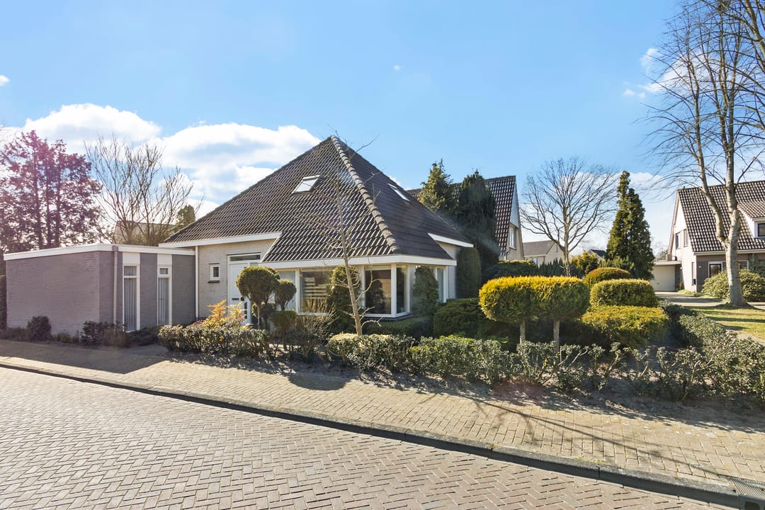 Foto 7 van Lijnland 21