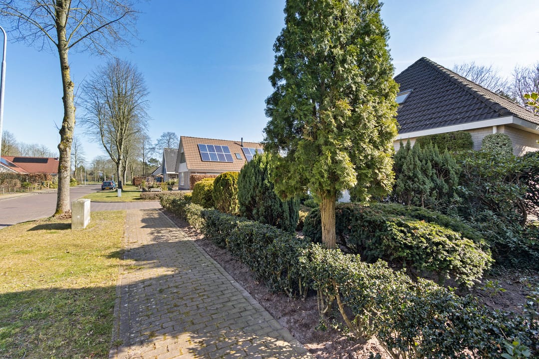 Foto 11 van Lijnland 21