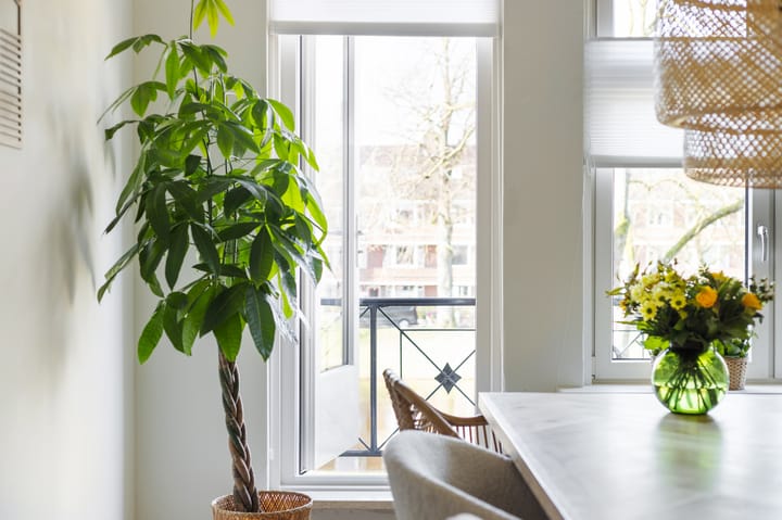 Foto 21 van Gorechtkade 123-A