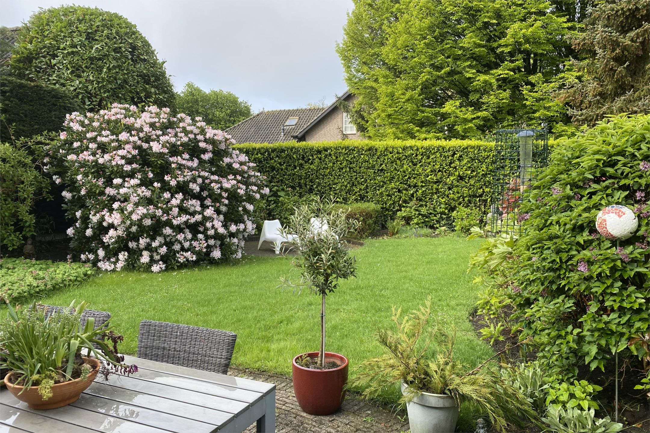 Foto 6 van Schuttersveld 18