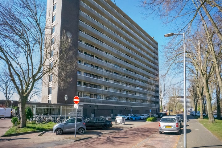 Judith Leysterstraat 35