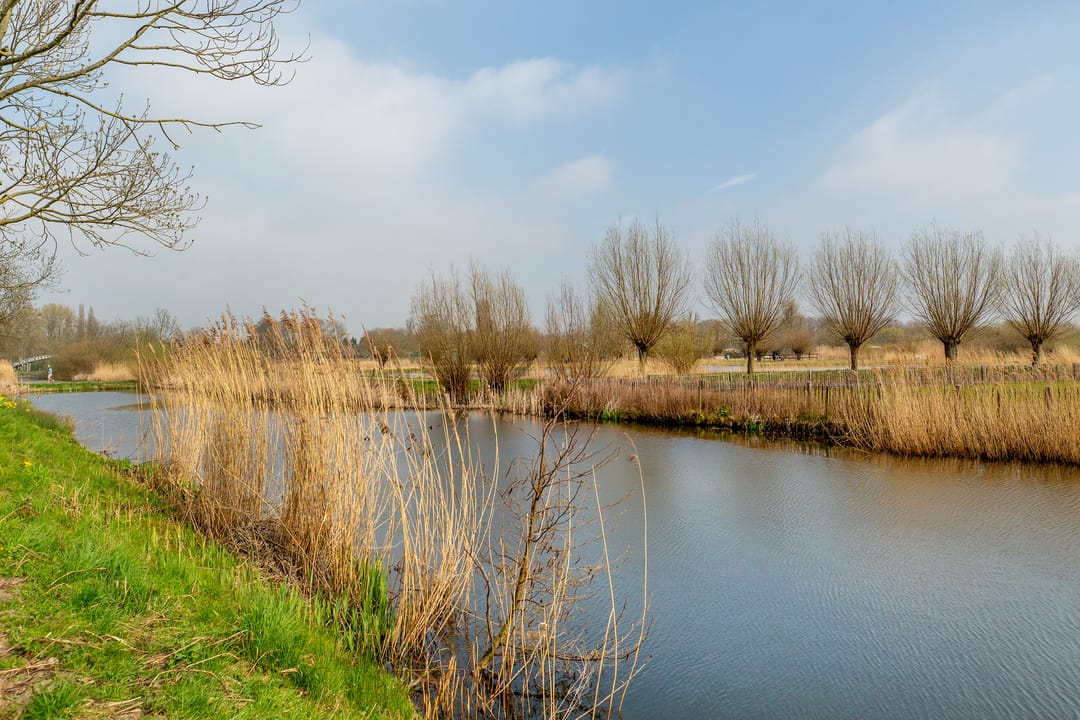 Foto 56 van Ringdijk 61