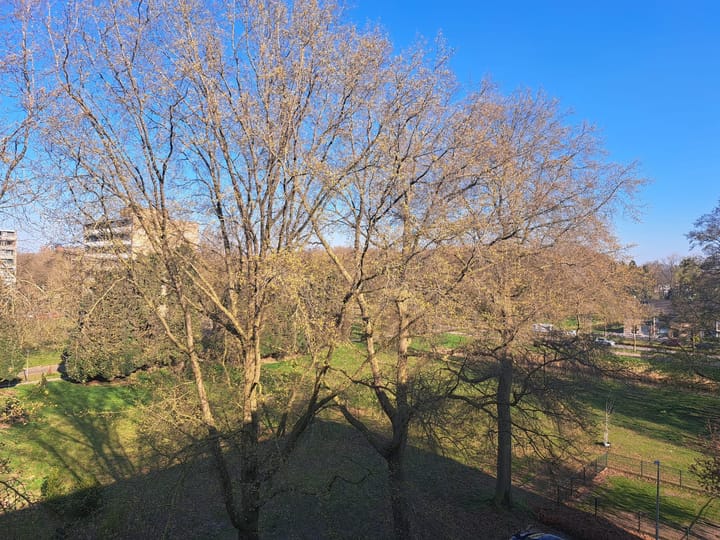 Foto 14 van Malvert 6893