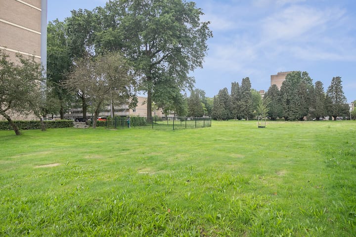 Foto 24 van Malvert 6893