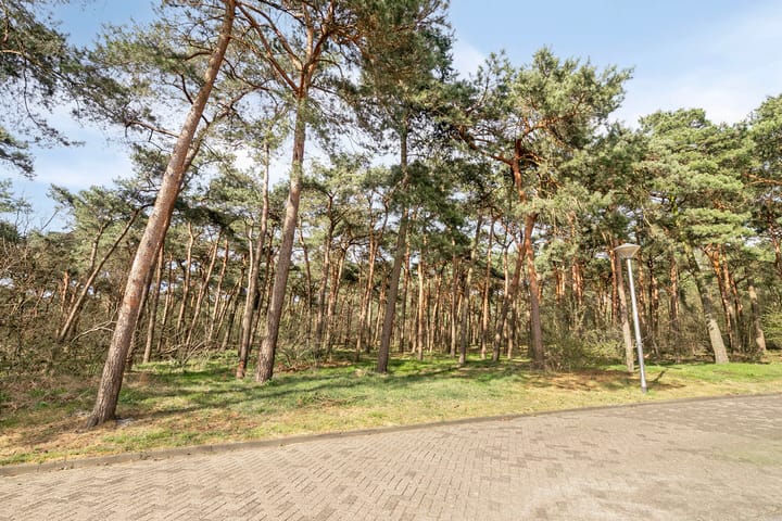 Foto 40 van Gelderlandhof 22