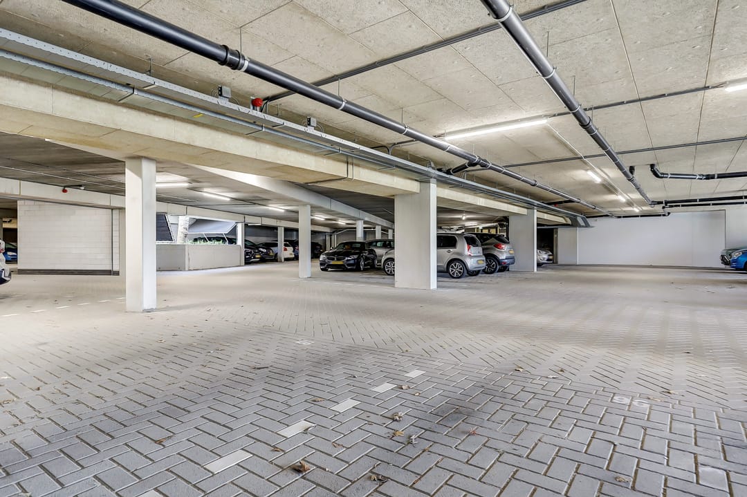 Photo 31 of Hortus 96