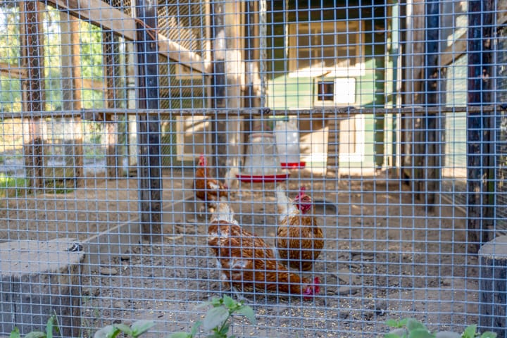 Foto 70 van Voorsterweg 167