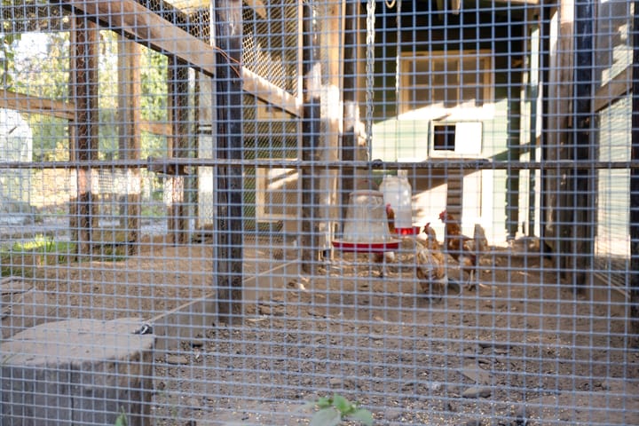 Foto 71 van Voorsterweg 167