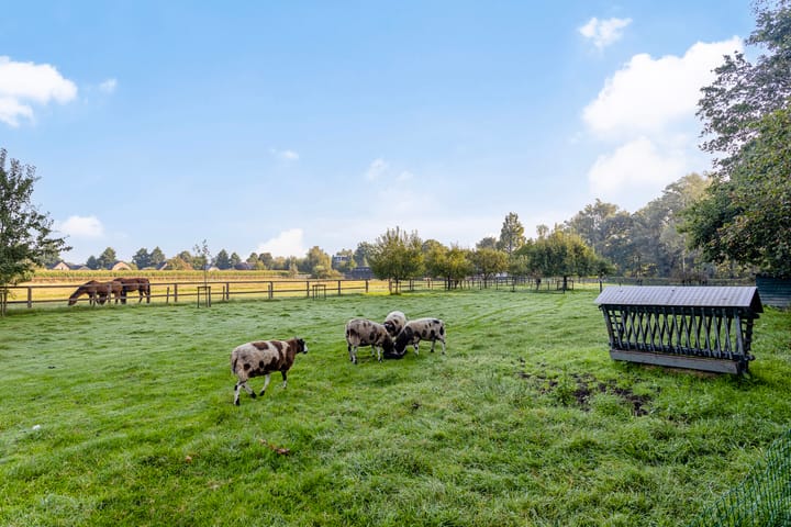 Foto 72 van Voorsterweg 167