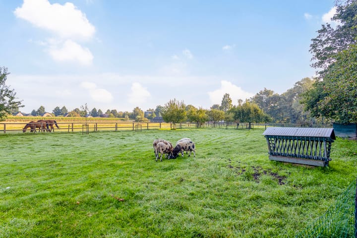 Foto 73 van Voorsterweg 167