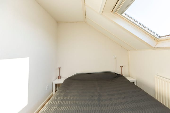 Foto 29 van P.J. Troelstrastraat 13