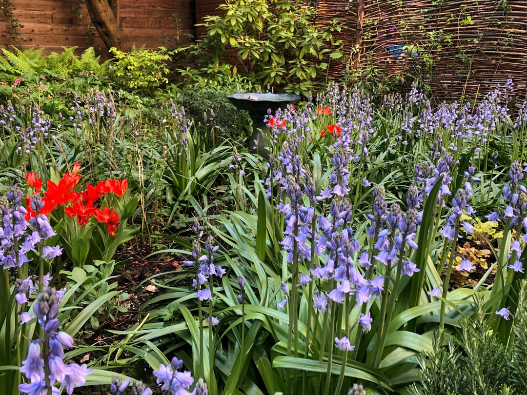 Foto 26 van Tweede Atjehstraat 40-H