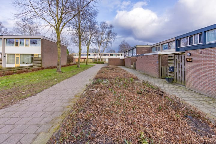 Foto 5 van Laan van de Marel 294