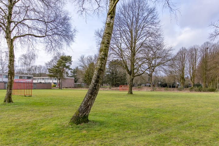 Foto 37 van Laan van de Marel 294