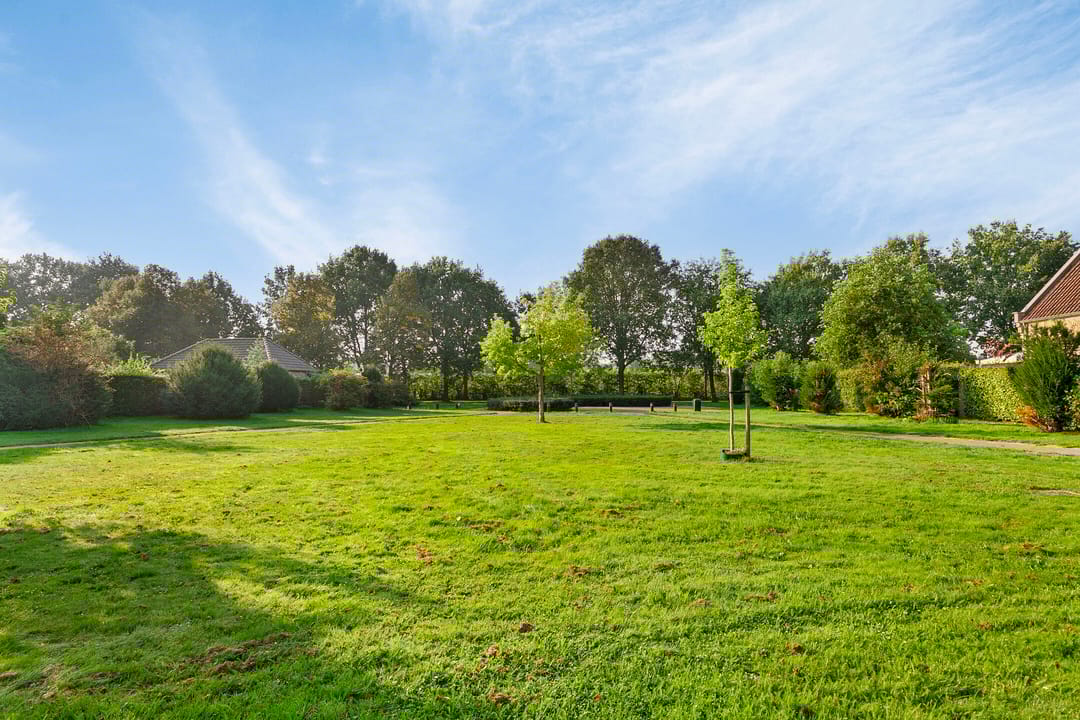 Foto 41 van Wijneveld 6