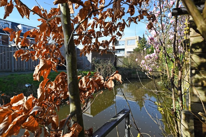 Foto 36 van Lindenlaan 14