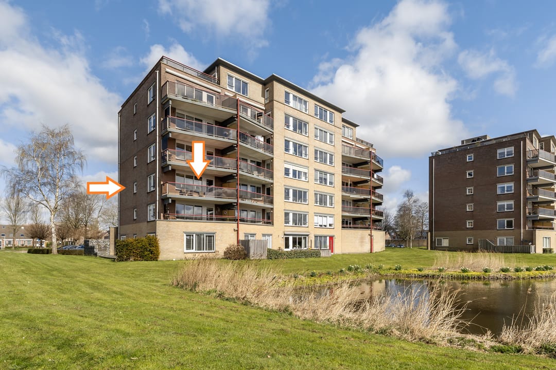 Foto 1 van Smeetsmastins 14