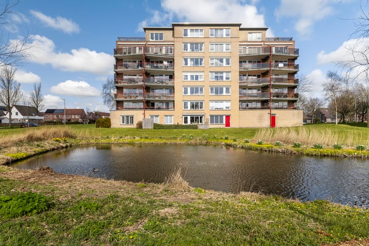 Foto 2 van Smeetsmastins 14