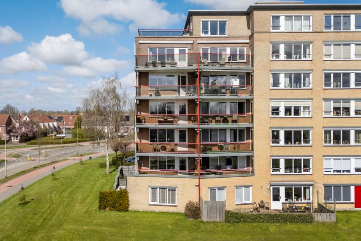 Foto 3 van Smeetsmastins 14