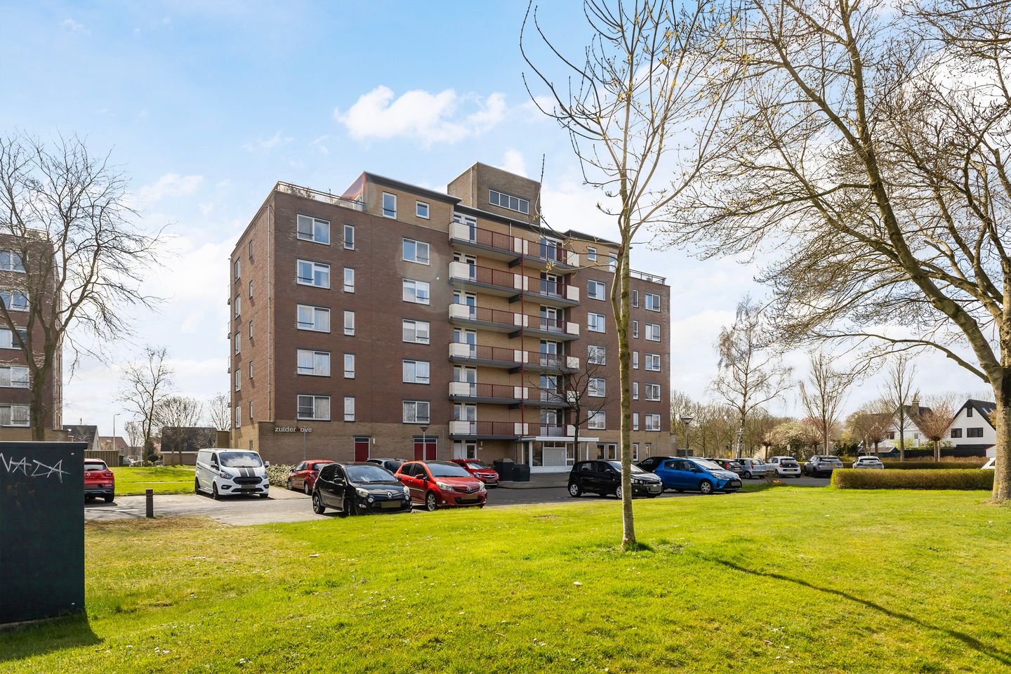 Foto 4 van Smeetsmastins 14