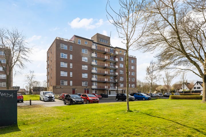 Foto 4 van Smeetsmastins 14