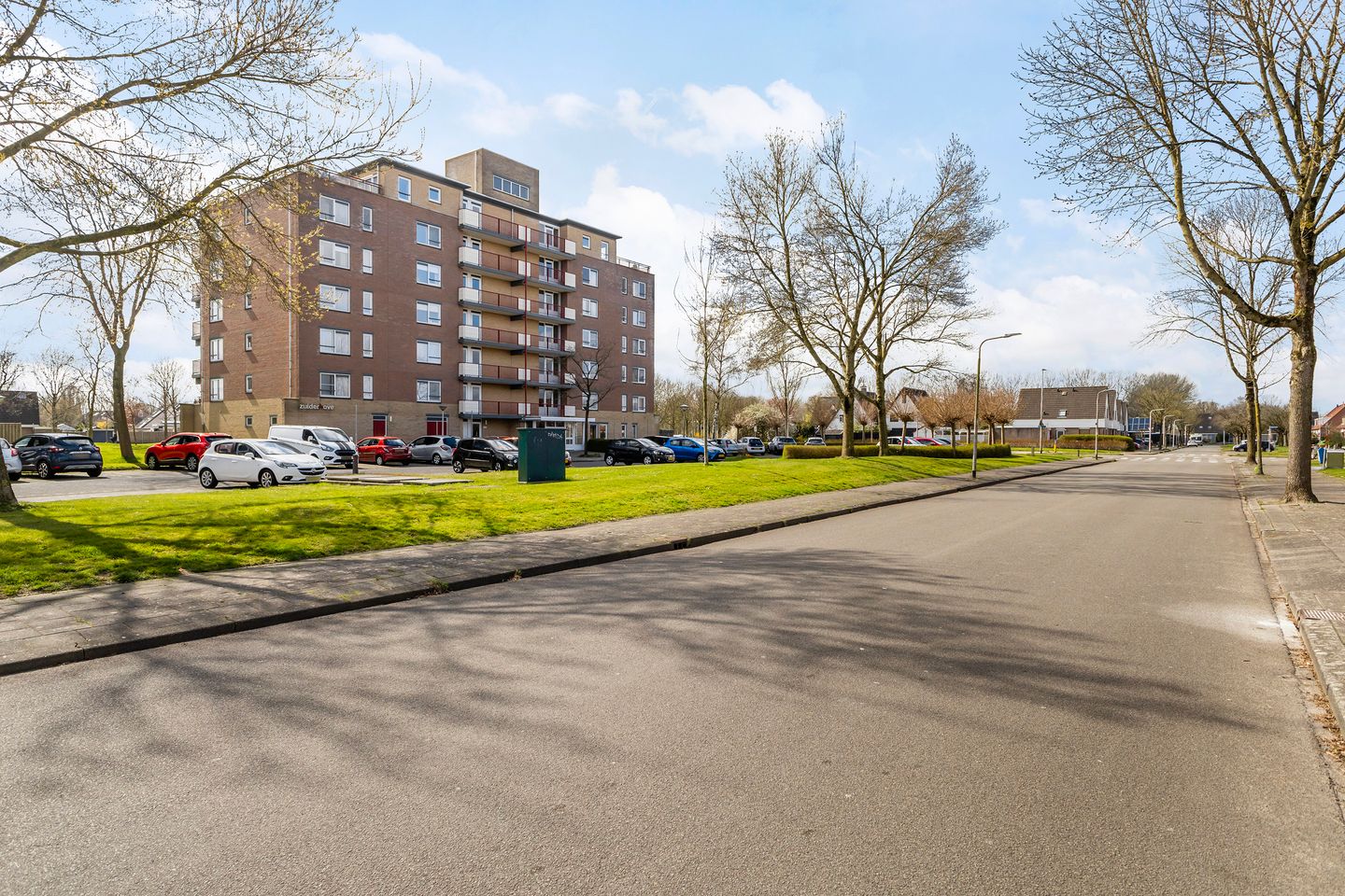 Foto 5 van Smeetsmastins 14