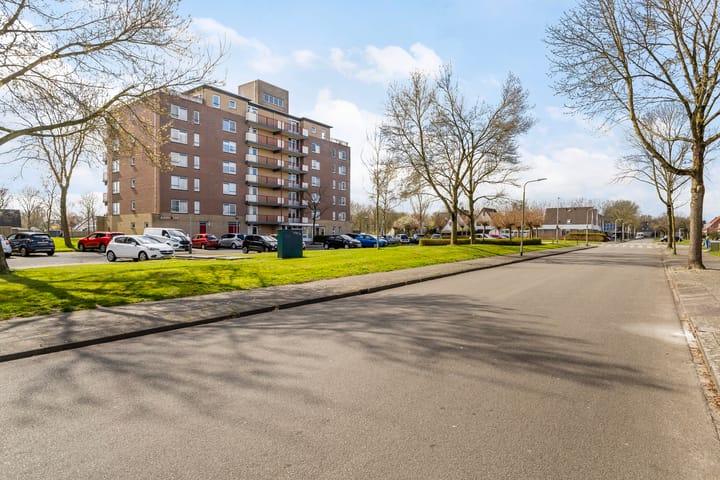 Foto 5 van Smeetsmastins 14