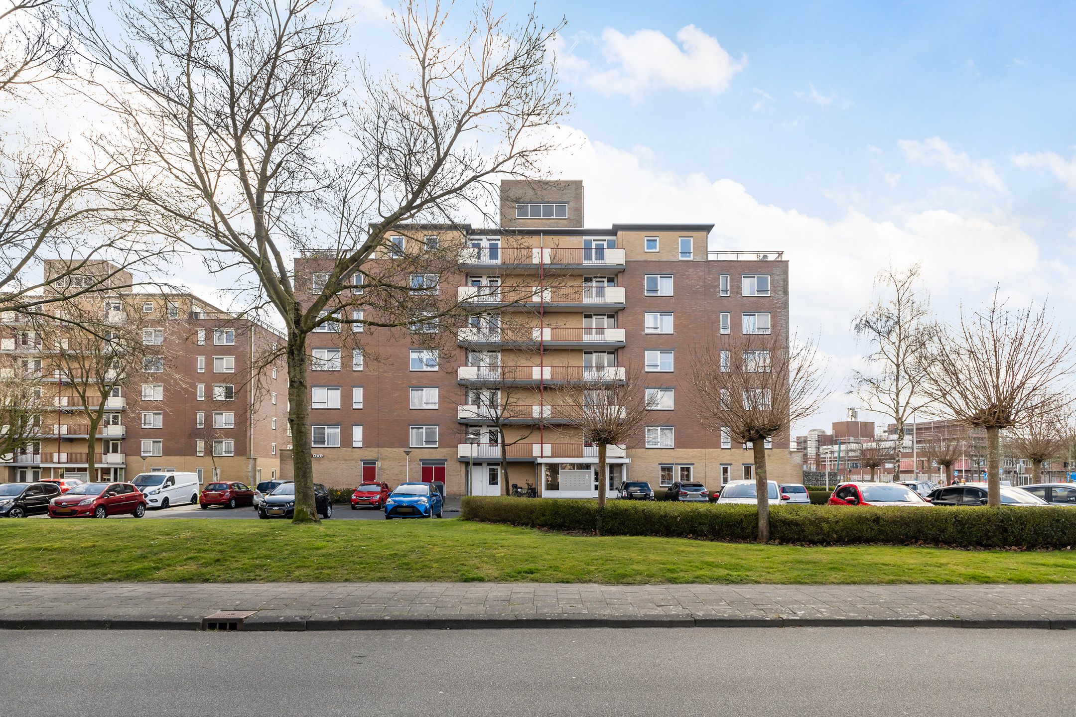 Foto 6 van Smeetsmastins 14