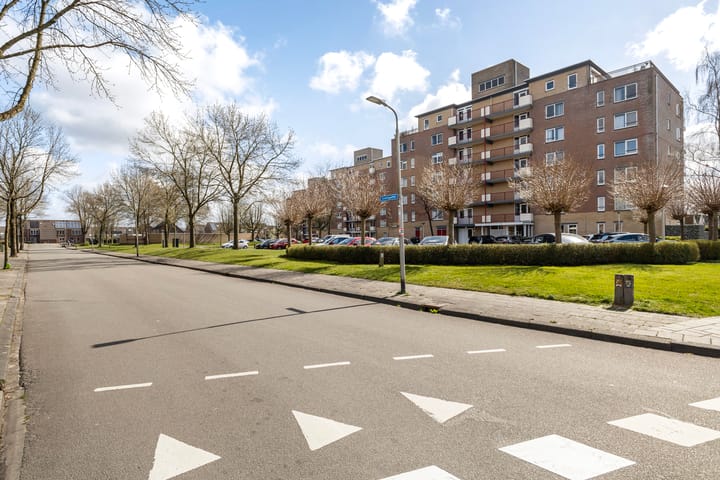 Foto 7 van Smeetsmastins 14