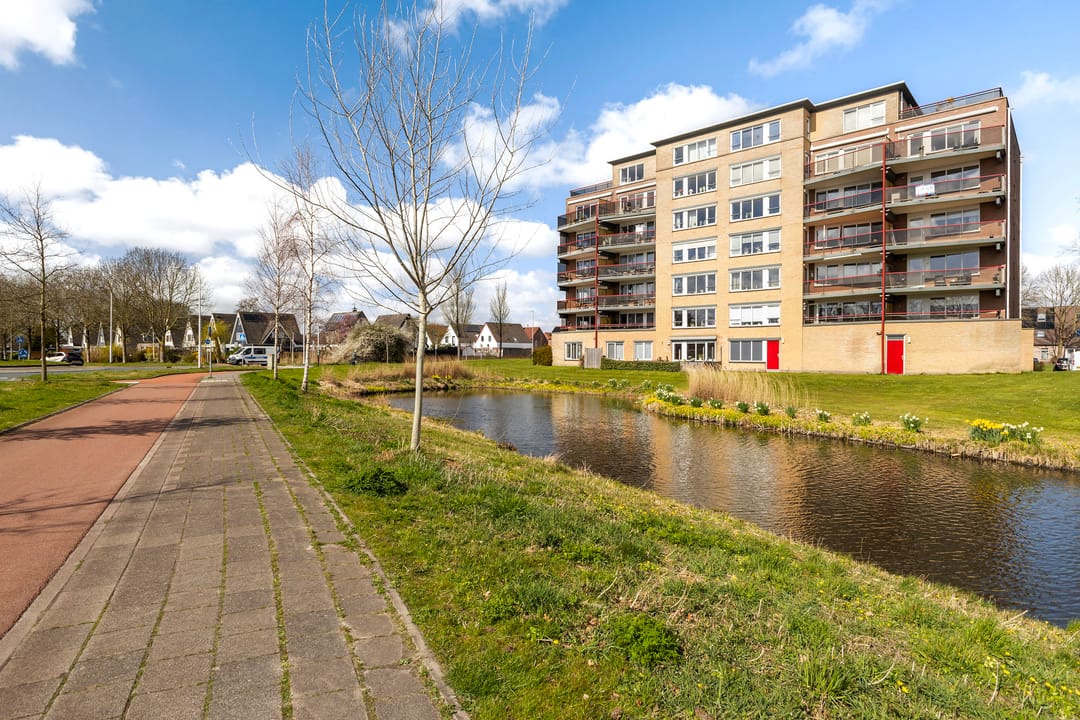 Foto 8 van Smeetsmastins 14