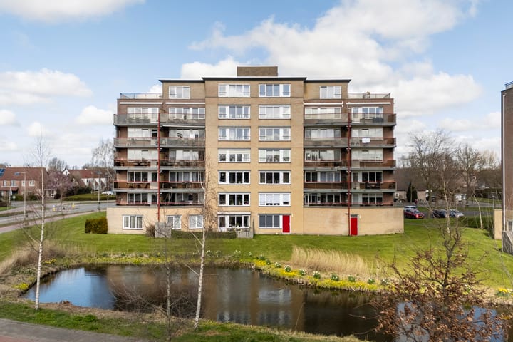 Foto 9 van Smeetsmastins 14