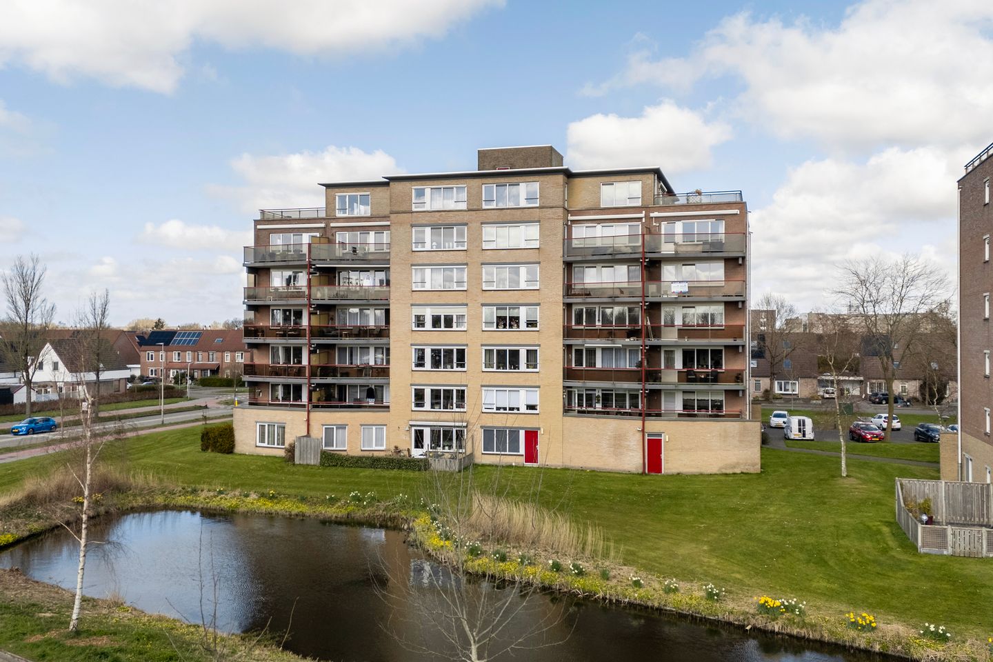 Foto 10 van Smeetsmastins 14