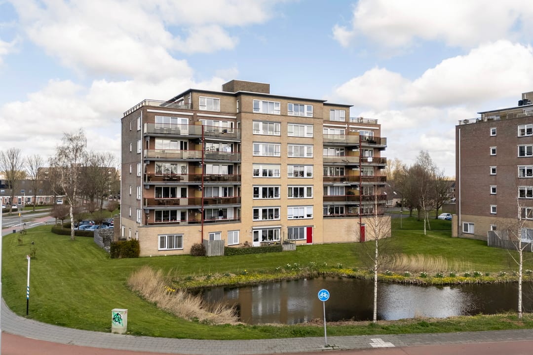 Foto 11 van Smeetsmastins 14