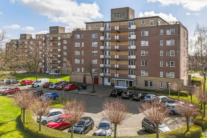 Foto 12 van Smeetsmastins 14