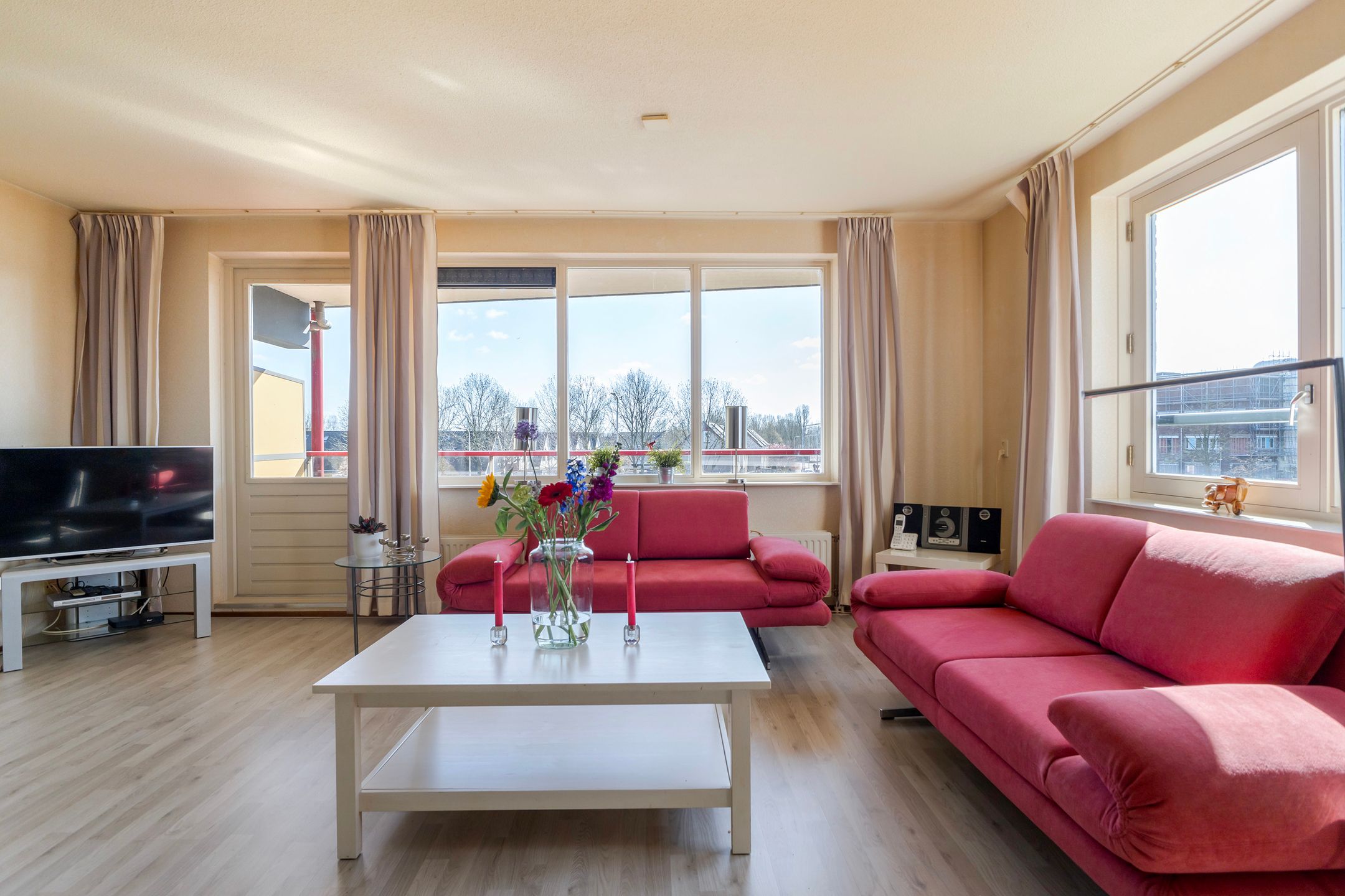 Foto 15 van Smeetsmastins 14