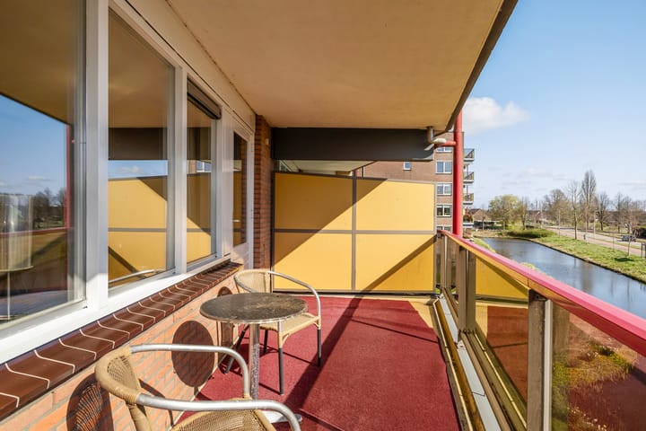 Foto 17 van Smeetsmastins 14