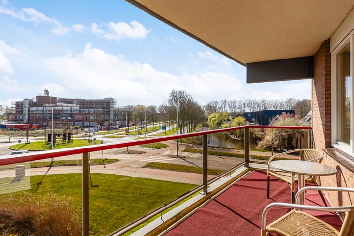 Foto 18 van Smeetsmastins 14