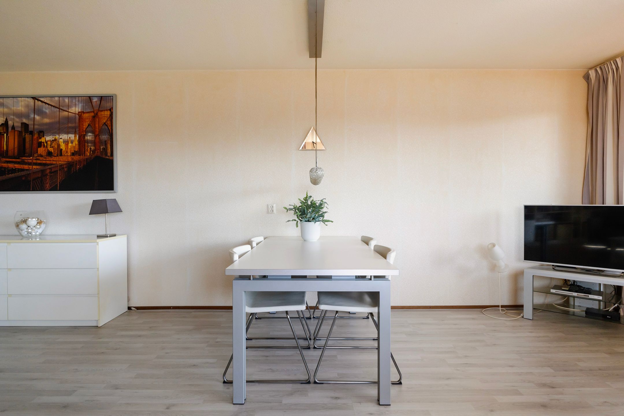 Foto 21 van Smeetsmastins 14