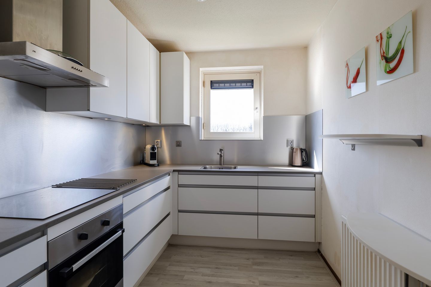 Foto 25 van Smeetsmastins 14