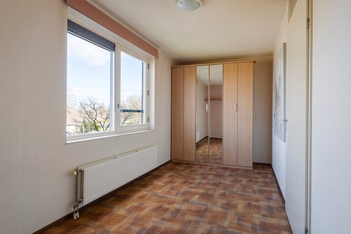 Foto 27 van Smeetsmastins 14