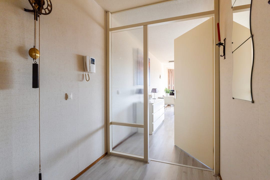 Foto 28 van Smeetsmastins 14