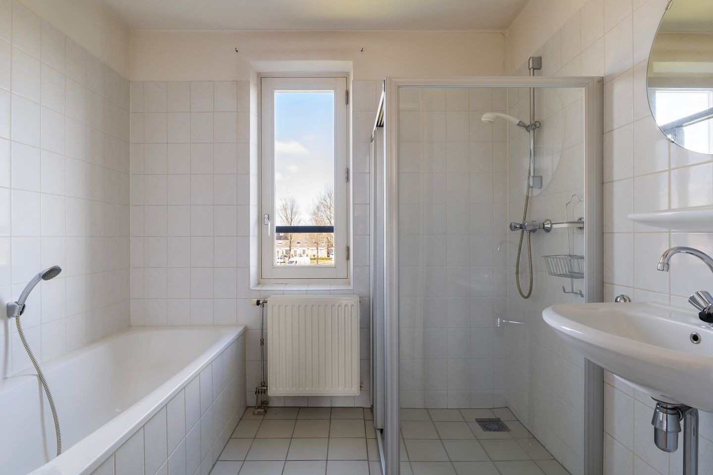 Foto 29 van Smeetsmastins 14